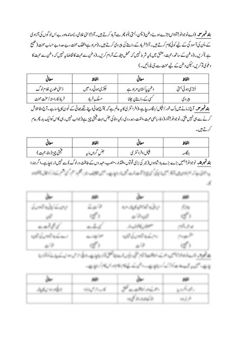 mcafee meaning in urdu
